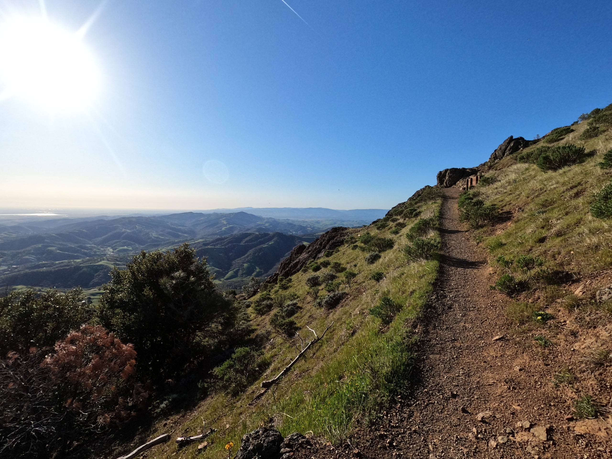 DD100 2021, or the 1st Annual Ultra-Trail Mont Diablo: A Retrospective 11