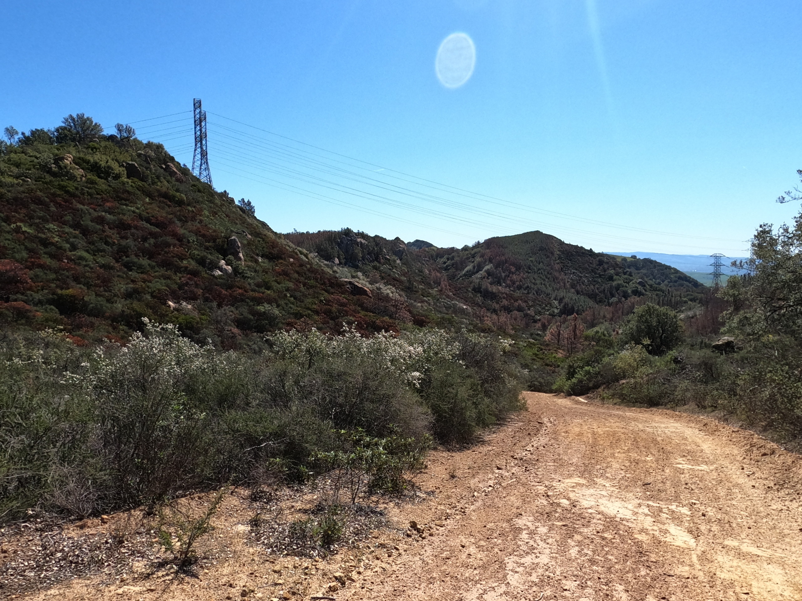 DD100 2021, or the 1st Annual Ultra-Trail Mont Diablo: A Retrospective 14